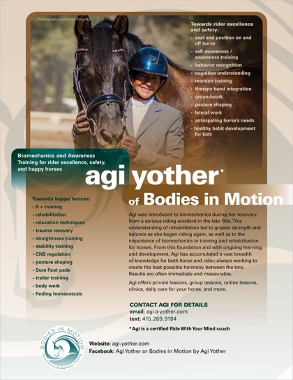 Meet Agi flyer