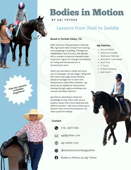 Lessons from Stall to Saddle flyer