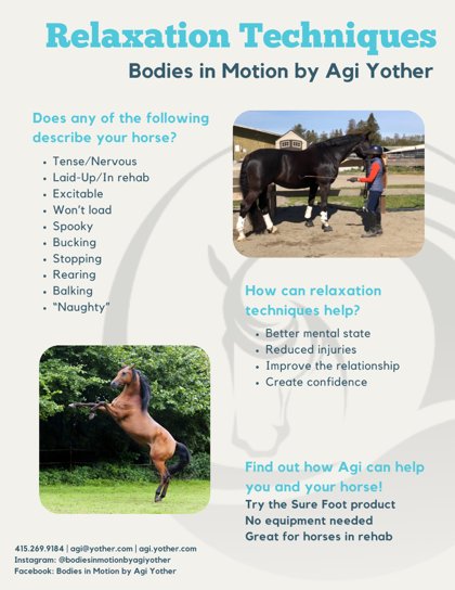 Relaxation Techniques flyer