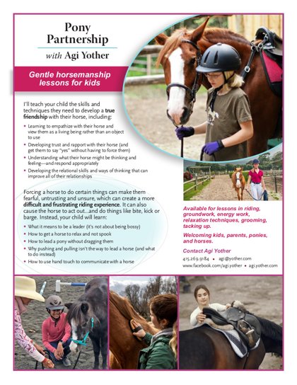 Pony Partnership flyer