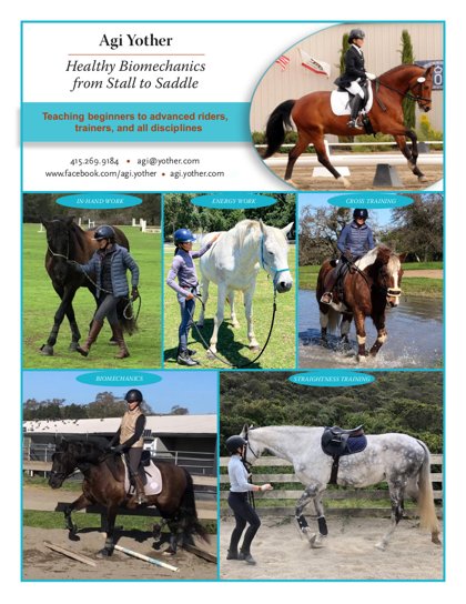 Healthy Biomechanics flyer